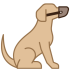 PÖL